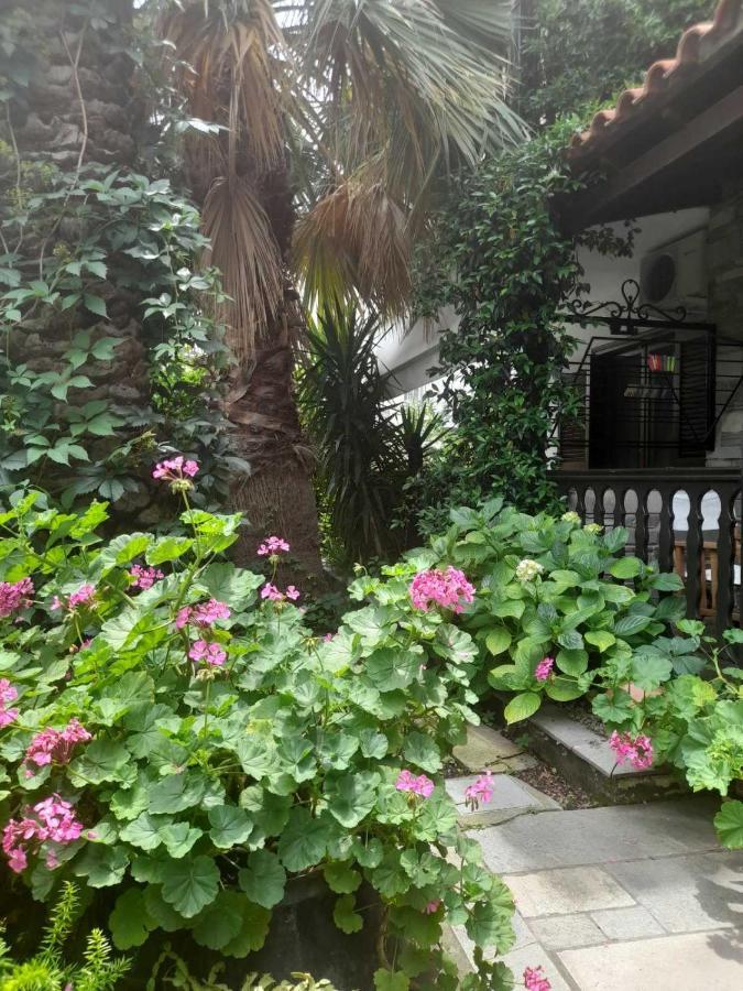 Papatzikos Traditional Guesthouse 新马尔马拉斯 外观 照片