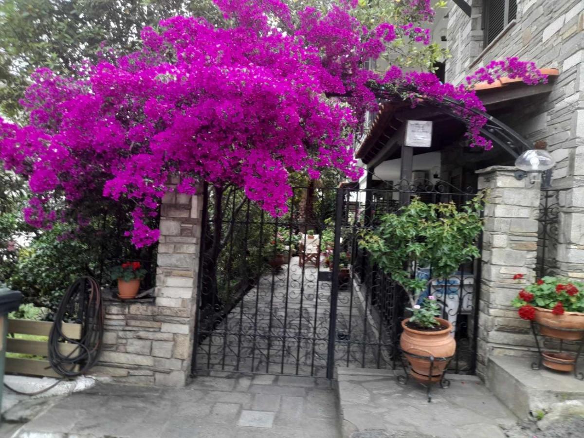 Papatzikos Traditional Guesthouse 新马尔马拉斯 外观 照片