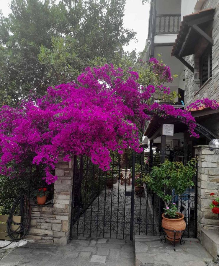 Papatzikos Traditional Guesthouse 新马尔马拉斯 外观 照片